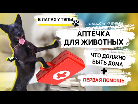 Домашняя ветеринарная АПТЕЧКА ДЛЯ ЖИВОТНЫХ: отравления, обработка ран у собак, раны у кошек