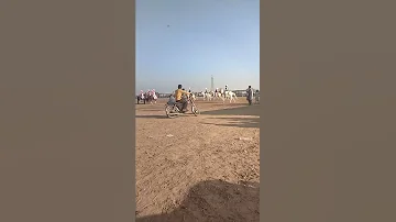 ببلو پا گھوڑے 