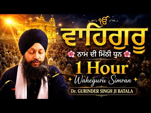 🌺 ਵਾਹਿਗੁਰੂ ਨਾਮ ਦੀ ਮਿੱਠੀ ਧੁਨ ✨ 1 Hour Waheguru Simran ✨ Dr. GURINDER SINGH JI BATALA 
