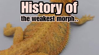 Bearded Dragon History: Translucent Bearded Dragon Genetics The Translucent Morph