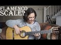 How to play a very common flamenco scale -  phrygian mode on guitar ✔