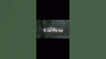 #القارئ_محمد_اللحيدان #سورة_الناس #القرآن_الكريم