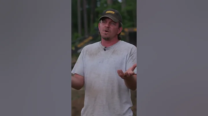 Feller Buncher Operator Careers