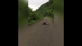 BISAYA VLOG SIBONGA Queen City of South Sibonga Candaguit City Cebu - Piokez Vlog Ubec Vlog