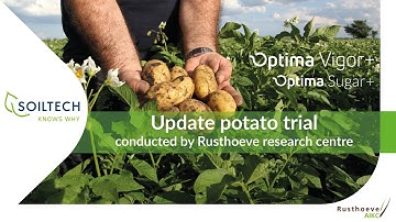 Update potato trial in the Netherlands 2023