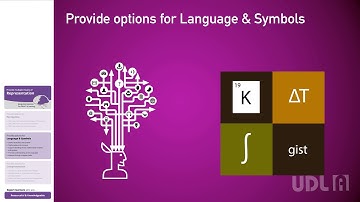 UDL A Representation Language