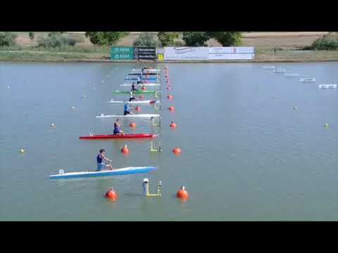 Video: Ljetni Olimpijski Sportovi: Kajak I Kanu