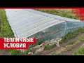 Под Челябинском бывшие китайские теплицы оккупировали узбеки, таджики и русские | 74.RU