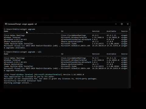 Upgrade all installed applications on Windows.
