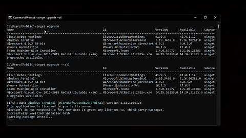 Upgrade all installed applications on Windows.