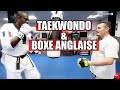 Taekwondo versus boxing