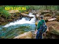 I spent 3 days in trout fishing paradise  fly fishing for brook rainbow and brown trout