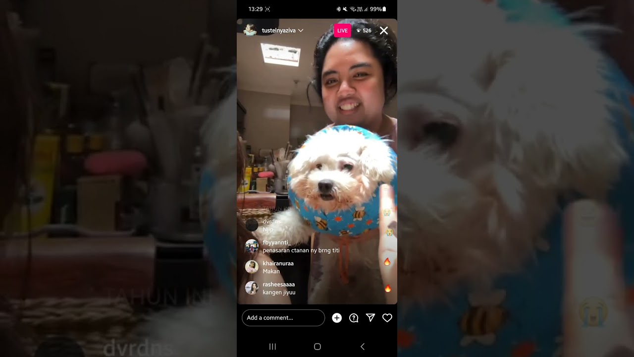 ziva magnolya live ig (15/06/23)
