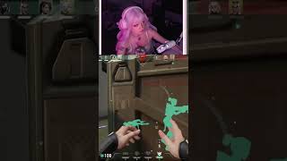 HM MY KITTY | #rijouku on #Twitch #sagemain #sage #catmom