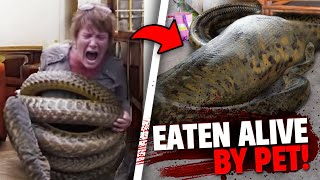 These 3 Pets Ate Their Owners ALVE In Front of EVERYONE!