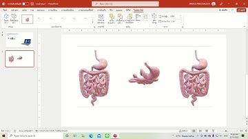 โมเดล 3 มิติ | Microsoft PowerPoint