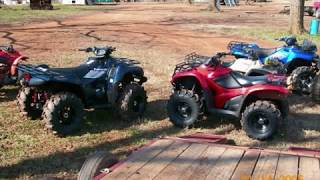 Dsgbz And The Monroe County Click