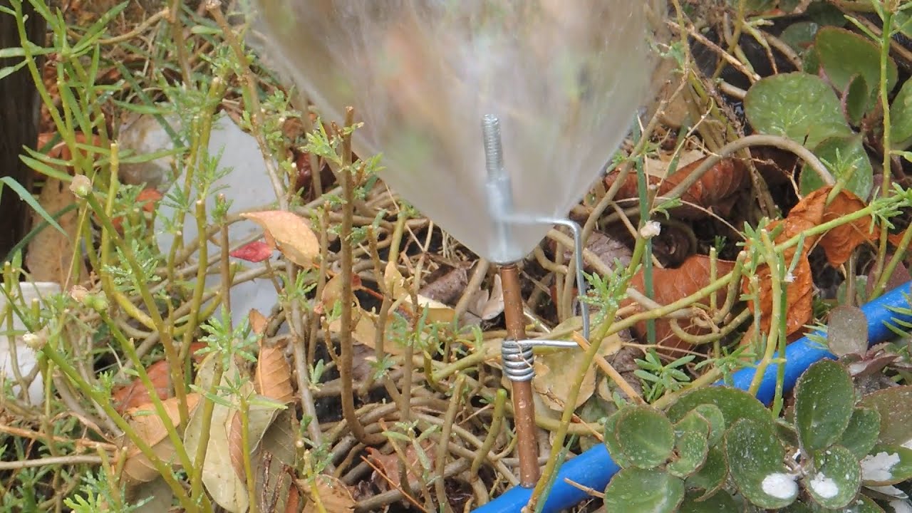 ASPERSOR CASEIRO | MICRO ASPERSOR