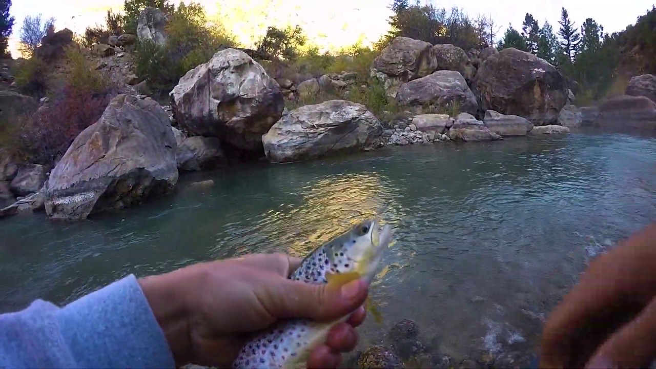 Fly Fishing CottonWood Creek Utah YouTube