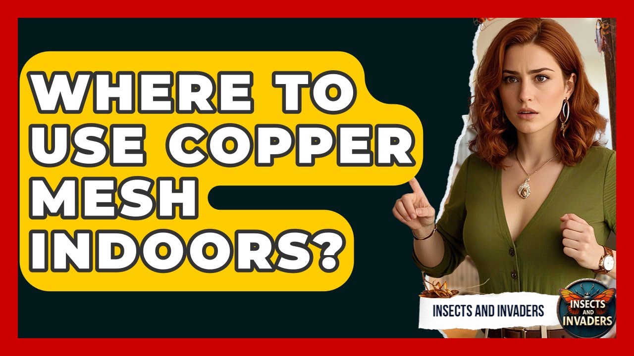 Where To Use Copper Mesh Indoors? - Insects and Invaders
