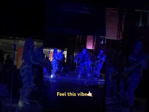 Chronic Insomnia Live Concert Punk Punkrock Poppunk Avril2024 Rock Livemusic Drummer Band 