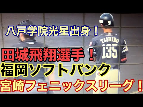 宮崎フェニックスリーグ元福岡ソフトバンクホークス八戸学院光星出身田城飛翔選手はオリックスへ！#サウスポー #野球 #高校野球 #甲子園  #スポーツ #草野球 #トクサンTV #野球YouTuber向