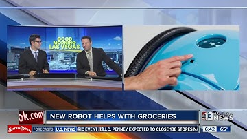 Robot helps you carry your groceries
