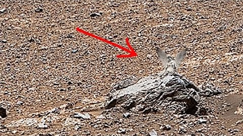 NASA Mars Breathtaking Panoramic Video Footage of Red Planet from Perseverance Rover Sol 1531