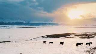 Sunrise Video Clip - Copyright Free Relaxing Soft Background Music for Videos screenshot 4