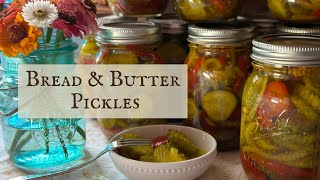 How to Make Old Fashioned Bread and Butter Pickles | Open Kettle Pickles | Preserving Cucumbers
