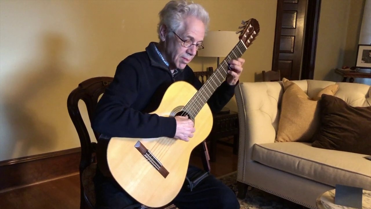 Wonder Stairway to Z-Land - Solo Guitar Arrangement by Dr. Peter Zisa