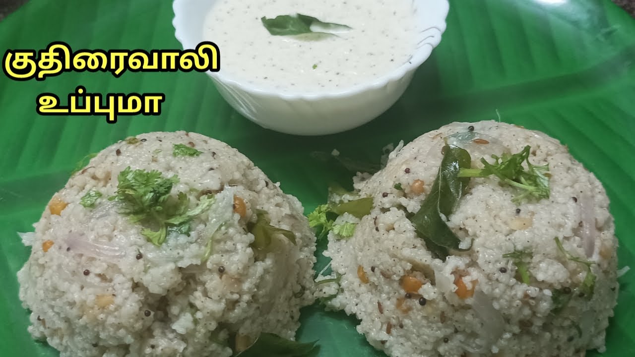 குதிரைவாலி உப்புமா/kuthiravali upma in tamil/barnyard millet upma in