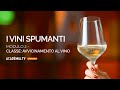 Corso di vini spumanti 🍾