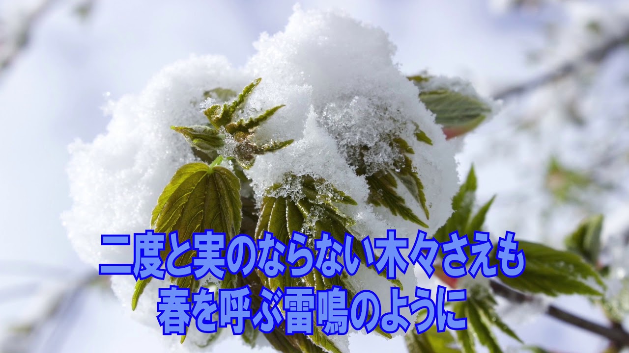 雪影ぼうし 和楽器バンド カラオケガイドあり Youtube