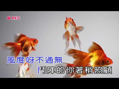 為何心糟糟 沈文程卡啦OK伴唱