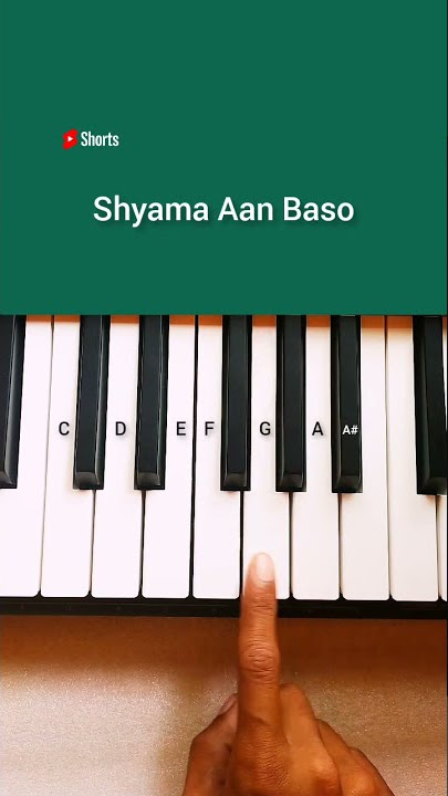 Shyama Aan Baso Vrindavan Mein | Easy Tutorial With Notes