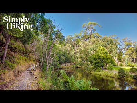 A Beautiful Riverside Virtual Hike | Inglis River Bridge To Bridge Walk