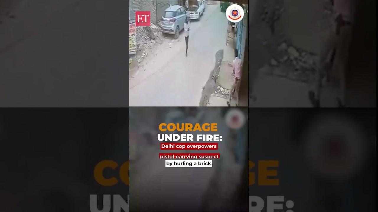 Courage under fire: Delhi cop overpowers pistol-carrying suspect by hurling a brick