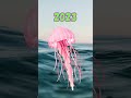 2023 Jellyfish vs 5000 bce Jellyfish