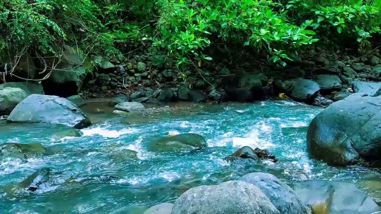 Magical Forest Atmosphere, Flowing Water, Forest Sounds, Soothing ASMR