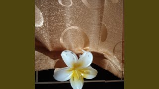 Download Lagu Rindunya MP3