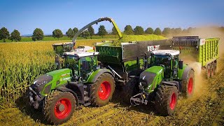 Mais 2020 : LU Jumpers VOLL im EINSATZ!! Jaguar 980 / 7 x Fendt / Fendt 942 / 3 x M.A.N / USA / 4K