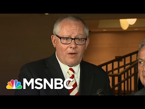 Disastrous Trump Covid Response Runs Deeper Than Mere Mismanagement | Rachel Maddow | MSNBC