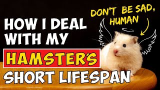 How To Deal With Hamster's Short Lifespan screenshot 3