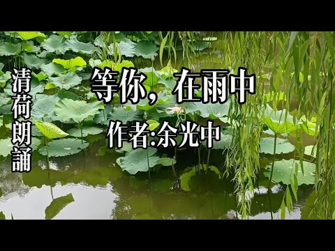 雨中的情思，雨中的等待，余光中经典诗歌《等你，在雨中》
