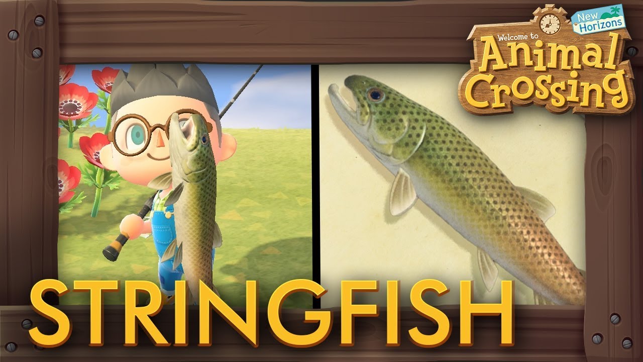 Animal Crossing: New Horizons - How to Catch Stringfish (15,000