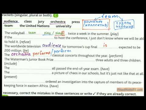 Advanced English Grammar | Unit 40-2 | subject-verb agreement | число существительных