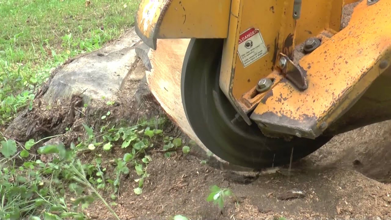 ReverseS™ Cutting System Carlton 4400 YouTube