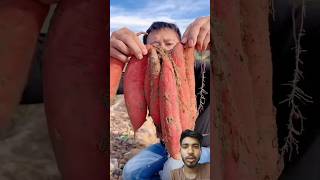 What A Beautiful Bunch Of Sweet Potatoes#satisfying #short#nature #farming #farmingtraditions #viral