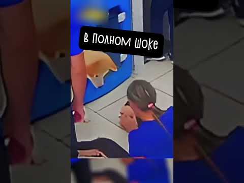 Эта Собака Не Хотела Причинять Боль 💛